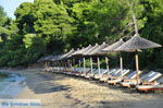 JustGreece.com Maratha beach near Koukounaries | Skiathos Sporades | Greece  Photo 9 - Foto van JustGreece.com