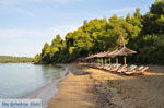 JustGreece.com Maratha beach near Koukounaries | Skiathos Sporades | Greece  Photo 10 - Foto van JustGreece.com