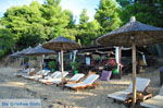 JustGreece.com Maratha beach near Koukounaries | Skiathos Sporades | Greece  Photo 12 - Foto van JustGreece.com