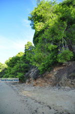 JustGreece.com Maratha beach near Koukounaries | Skiathos Sporades | Greece  Photo 13 - Foto van JustGreece.com