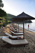 JustGreece.com Maratha beach near Koukounaries | Skiathos Sporades | Greece  Photo 14 - Foto van JustGreece.com