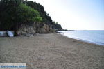 JustGreece.com Troulos beach | Skiathos Sporades | Greece  Photo 3 - Foto van JustGreece.com