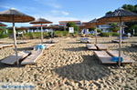 JustGreece.com Troulos beach | Skiathos Sporades | Greece  Photo 7 - Foto van JustGreece.com