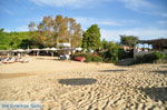 Troulos beach | Skiathos Sporades | Greece  Photo 8 - Photo JustGreece.com