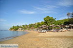 JustGreece.com Troulos beach | Skiathos Sporades | Greece  Photo 9 - Foto van JustGreece.com