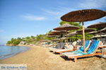 Troulos beach | Skiathos Sporades | Greece  Photo 10 - Photo JustGreece.com