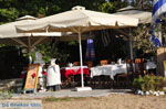 JustGreece.com Troulos beach | Skiathos Sporades | Greece  Photo 15 - Foto van JustGreece.com