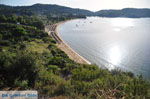 Aghia Paraskevi (Platanias beach) | Skiathos Sporades | Greece  Photo 2 - Photo JustGreece.com