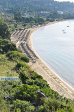 Aghia Paraskevi (Platanias beach) | Skiathos Sporades | Greece  Photo 3 - Photo JustGreece.com