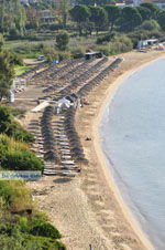 Aghia Paraskevi (Platanias beach) | Skiathos Sporades | Greece  Photo 6 - Photo JustGreece.com