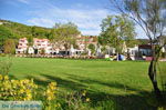 Aghia Paraskevi (Platanias beach) | Skiathos Sporades | Greece  Photo 10 - Photo JustGreece.com