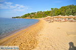 Aghia Paraskevi (Platanias beach) | Skiathos Sporades | Greece  Photo 11 - Photo JustGreece.com