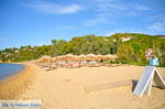 Aghia Paraskevi (Platanias beach) | Skiathos Sporades | Greece  Photo 12 - Photo JustGreece.com