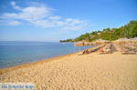 Aghia Paraskevi (Platanias beach) | Skiathos Sporades | Greece  Photo 13 - Photo JustGreece.com