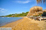 Aghia Paraskevi (Platanias beach) | Skiathos Sporades | Greece  Photo 15 - Photo JustGreece.com