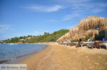Aghia Paraskevi (Platanias beach) | Skiathos Sporades | Greece  Photo 16 - Photo JustGreece.com