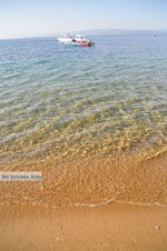 Aghia Paraskevi (Platanias beach) | Skiathos Sporades | Greece  Photo 17 - Photo JustGreece.com