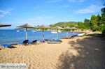 Aghia Paraskevi (Platanias beach) | Skiathos Sporades | Greece  Photo 22 - Photo JustGreece.com