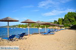 Aghia Paraskevi (Platanias beach) | Skiathos Sporades | Greece  Photo 23 - Photo JustGreece.com