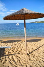 Aghia Paraskevi (Platanias beach) | Skiathos Sporades | Greece  Photo 24 - Foto van JustGreece.com
