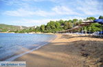 Aghia Paraskevi (Platanias beach) | Skiathos Sporades | Greece  Photo 29 - Photo JustGreece.com
