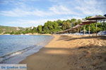 Aghia Paraskevi (Platanias beach) | Skiathos Sporades | Greece  Photo 30 - Photo JustGreece.com