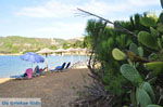 Aghia Paraskevi (Platanias beach) | Skiathos Sporades | Greece  Photo 31 - Photo JustGreece.com