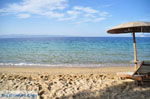 Vromolimnos | Skiathos Sporades | Greece  Photo 5 - Photo JustGreece.com