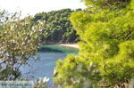 JustGreece.com Kanapitsa | Skiathos Sporades | Greece  Photo 2 - Foto van JustGreece.com