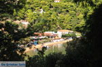 JustGreece.com Kanapitsa | Skiathos Sporades | Greece  Photo 3 - Foto van JustGreece.com