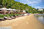 JustGreece.com Kanapitsa | Skiathos Sporades | Greece  Photo 8 - Foto van JustGreece.com