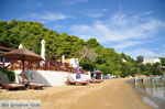 Kanapitsa | Skiathos Sporades | Greece  Photo 22 - Photo JustGreece.com
