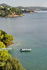 JustGreece.com Kanapitsa | Skiathos Sporades | Greece  Photo 26 - Foto van JustGreece.com