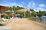 JustGreece.com Tzaneria | Skiathos Sporades | Greece  Photo 2 - Foto van JustGreece.com