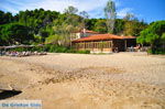 Tzaneria | Skiathos Sporades | Greece  Photo 6 - Photo JustGreece.com