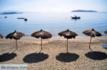 Vassilias | Skiathos Sporades | Greece  Photo 6 - Photo JustGreece.com