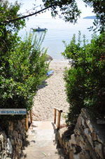 JustGreece.com Vassilias | Skiathos Sporades | Greece  Photo 8 - Foto van JustGreece.com