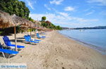 JustGreece.com Vassilias | Skiathos Sporades | Greece  Photo 9 - Foto van JustGreece.com