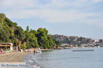 Vassilias | Skiathos Sporades | Greece  Photo 11 - Photo JustGreece.com