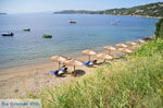 JustGreece.com Megali Ammos (Ftelia) | Skiathos Sporades | Greece  Photo 2 - Foto van JustGreece.com