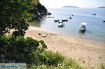 JustGreece.com Megali Ammos (Ftelia) | Skiathos Sporades | Greece  Photo 3 - Foto van JustGreece.com