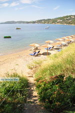 JustGreece.com Megali Ammos (Ftelia) | Skiathos Sporades | Greece  Photo 4 - Foto van JustGreece.com