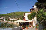 JustGreece.com Megali Ammos (Ftelia) | Skiathos Sporades | Greece  Photo 6 - Foto van JustGreece.com