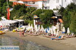 JustGreece.com Megali Ammos (Ftelia) | Skiathos Sporades | Greece  Photo 9 - Foto van JustGreece.com