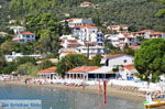 Megali Ammos (Ftelia) | Skiathos Sporades | Greece  Photo 13 - Photo JustGreece.com