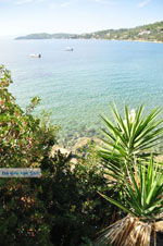 JustGreece.com Megali Ammos (Ftelia) | Skiathos Sporades | Greece  Photo 15 - Foto van JustGreece.com