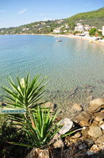 JustGreece.com Megali Ammos (Ftelia) | Skiathos Sporades | Greece  Photo 16 - Foto van JustGreece.com