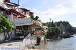 Megali Ammos (Ftelia) | Skiathos Sporades | Greece  Photo 17 - Photo JustGreece.com