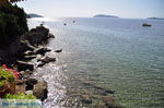 JustGreece.com Megali Ammos (Ftelia) | Skiathos Sporades | Greece  Photo 20 - Foto van JustGreece.com