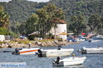 JustGreece.com Skiathos town | Skiathos Sporades | Greece  Photo 5 - Foto van JustGreece.com